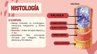 Enfermedad venosa y linfática presentación | PDF