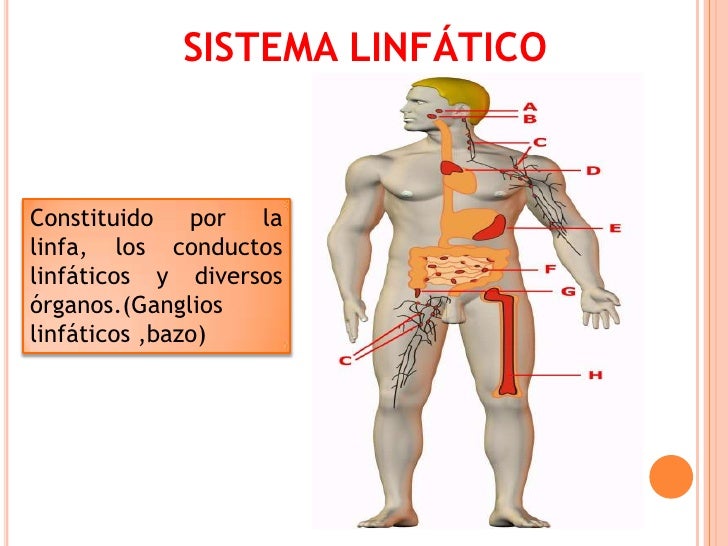 La enfermedad cutánea la eccema los síntomas