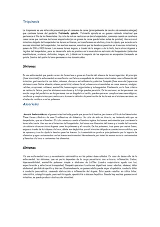 Triquinosis
La triquinosis es una infección provocada por el consumo de carne (principalmente de cerdo o de animales salvajes)
que contiene larvas del parásito Trichinella spiralis. Tichinella spiralis es un gusano redondo intestinal que
pertenece al filo de los Nematodos. Su ciclo de vida se realiza en un único hospedador, comienza cuando un carnívoro
come carne que contiene las larvas enquistadas (en un gramo de carne puede haber miles de quistes). Una vez en el
intestino delgado del hospedador las larvas se liberan, se transforman en adultos y tras la cópula, que sucede en la
mucosa intestinal del hospedador, los machos mueren, mientras que las hembras penetran en la mucosa intestinal y
ponen de 500 a 1000 larvas. Las nuevas larvas migran, a través de la sangre o de la linfa, hacia otros órganos o
tejidos del hospedador, pero su desarrollo solo se produce en la musculatura estriada del hospedador (músculos
mandibulares, oculares, deltoides, lengua, etc.) dónde en la mayoría de las especies se encapsulan formando un
quiste. Dentro del quiste la larva permanece viva durante años.
Síntomas
Es una enfermedad que puede cursar de forma leve o grave en función del número de larvas ingeridas. Al principio
(fase intestinal) la enfermedad se manifiesta con fiebre acompañada de síntomas intestinales como inflamación del
intestino, gastroenteritis con dolor, náuseas, diarrea o estreñimiento y vómitos. Después (fase muscular) aparecen
síntomas como fiebre elevada, edema periorbital, edema facial, edema en extremidades en casos severos, mialgias,
cefalea, erupciones cutáneas, eosinofilia, hemorragias conjuntivales y subungueales. Finalmente, en la fase crónica
se reduce la fiebre, pero los síntomas musculares y la fatiga pueden persistir. En los ancianos, en las personas con
mucha carga del parásito o en las personas con un diagnóstico tardío, pueden aparecer complicaciones neurológicas,
cardíacas y respiratorias que conduzcan a la muerte debido a la penetración de las larvas en el sistema nervioso, en
el músculo cardíaco o en los pulmones.
Ascariasis
Ascaris lumbricoides es el gusano intestinal más grande que parasita al hombre, pertenece al filo de los Nematodos.
Tiene forma cilíndrica de unos 5 milímetros de diámetro. Su ciclo de vida es directo, no teniendo más que un
hospedador, que es el hombre. El ciclo comienza cuando el hombre ingiere los huevos embrionados que contienen la
larva infectante. Una vez en el intestino del hospedador, las larvas son liberadas del huevo y a través del torrente
circulatorio alcanzan otros órganos como los pulmones y el corazón. De los pulmones, tras pasar por varias fases,
migran a través de la tráquea a la boca, dónde son deglutidas y en el intestino delgado se convierten en adultos, que
se aparean y tras la cópula la hembra pone los huevos. La transmisión se produce principalmente por la ingesta de
alimentos y agua contaminados con los huevos embrionados. Normalmente por tener las manos sucias o contaminadas
y llevarlas a la boca o contaminar los alimentos.
Síntomas
Es una enfermedad rara y normalmente asintomática en los países desarrollados. En caso de desarrollo de la
enfermedad, los síntomas, que en parte dependen de la carga parasitaria, son urticaria, inflamación, fiebre,
hipersensibilidad, eosinofilia pulmonar simple o síndrome de Löffler (cuadro respiratorio agudo con tos,
expectoración y estertores bronquiales). Después aparecen trastornos digestivos como: vómitos, náuseas, dolor
abdominal, pérdida de apetito y diarrea. Ocasionalmente, un gusano adulto puede migar al apéndice, conducto biliar
o conducto pancreático, causando obstrucción e inflamación del órgano. Esto puede resultar en cólico biliar,
colecistitis, colangitis aguda, pancreatitis aguda, apendicitis o absceso hepático. Cuando hay muchos gusanos en el
intestino, se puede producir obstrucción intestinal.
 