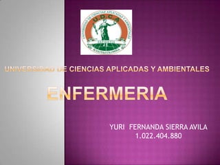 YURI FERNANDA SIERRA AVILA
1.022.404.880
 