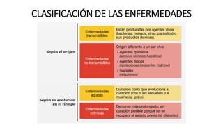 CLASIFICACIÓN DE LAS ENFERMEDADES
 