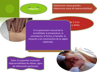Palpación

•Determinar masas grandes.
•Determinar áreas de hipersensibilidad.

Deprimir de 1-2 cm
Usar palma y dedos
Es la apreciación manual de la
sensibilidad, la temperatura, la
consistencia, la forma, el tamaño, la
Preguntar al paciente:
situación y los movimientos de la región
•¿Dóndeexplorada,
hay dolor?
•Si el dolor es más intenso al
presionar o al suspender la
presión.

Dolor al suspender la presión:
Hipersensibilidad de rebote, signo
de inflamación peritoneal.

 