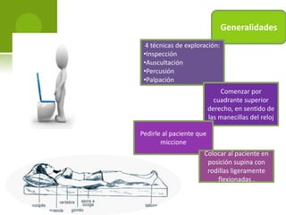 Generalidades
4 técnicas de exploración:
•Inspección
•Auscultación
•Percusión
•Palpación
Comenzar por
cuadrante superior
derecho, en sentido de
las manecillas del reloj
Pedirle al paciente que
miccione
Colocar al paciente en
posición supina con
rodillas ligeramente
flexionadas .

 