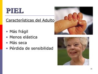 PIEL Características del Adulto mayor: Más frágil Menos elástica Más seca Pérdida de sensibilidad 
