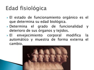  El estado de funcionamiento orgánico es el
que determina su edad biológica.
 Determina el grado de funcionalidad y
deterioro de sus órganos y tejidos.
 El envejecimiento corporal modifica la
automático y muestra de forma externa el
cambio.
 