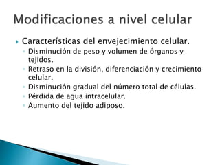  Características del envejecimiento celular.
◦ Disminución de peso y volumen de órganos y
tejidos.
◦ Retraso en la división, diferenciación y crecimiento
celular.
◦ Disminución gradual del número total de células.
◦ Pérdida de agua intracelular.
◦ Aumento del tejido adiposo.
 