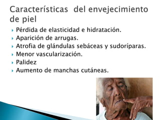  Pérdida de elasticidad e hidratación.
 Aparición de arrugas.
 Atrofia de glándulas sebáceas y sudoríparas.
 Menor vascularización.
 Palidez
 Aumento de manchas cutáneas.
 