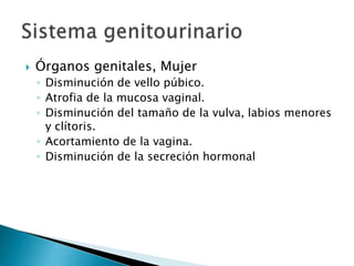  Órganos genitales, Mujer
◦ Disminución de vello púbico.
◦ Atrofia de la mucosa vaginal.
◦ Disminución del tamaño de la vulva, labios menores
y clítoris.
◦ Acortamiento de la vagina.
◦ Disminución de la secreción hormonal
 