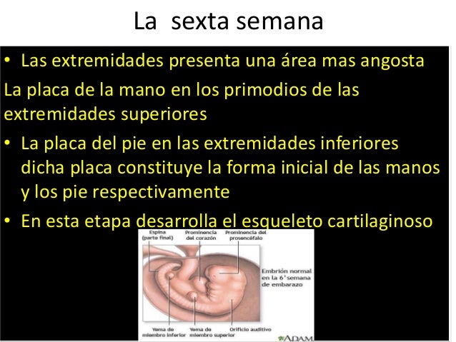 Duele la espalda y la demora el día