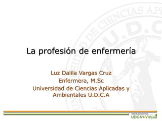 La profesión de enfermería
Luz Dalila Vargas Cruz
Enfermera, M.Sc
Universidad de Ciencias Aplicadas y
Ambientales U.D.C.A
1
 