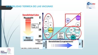 SENSIBILIDAD TERMICA DE LAS VACUNAS
 