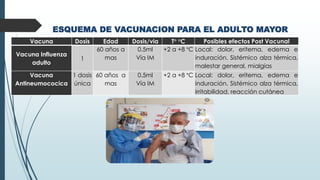 ESQUEMA DE VACUNACION PARA EL ADULTO MAYOR
Vacuna Dosis Edad Dosis/via T° °C Posibles efectos Post Vacunal
Vacuna Influenza
adulto
1
60 años a
mas
0.5ml
Vía IM
+2 a +8 °C Local: dolor, eritema, edema e
induración. Sistémico alza térmica,
malestar general, mialgias
Vacuna
Antineumococica
1 dosis
única
60 años a
mas
0.5ml
Vía IM
+2 a +8 °C Local: dolor, eritema, edema e
induración. Sistémico alza térmica,
irritabilidad, reacción cutánea
 