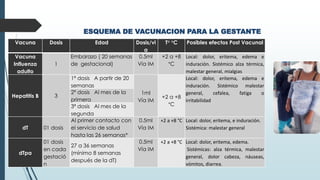 ESQUEMA DE VACUNACION PARA LA GESTANTE
Vacuna Dosis Edad Dosis/vi
a
T° °C Posibles efectos Post Vacunal
Vacuna
Influenza
adulto
1
Embarazo ( 20 semanas
de gestacional)
0.5ml
Vía IM
+2 a +8
°C
Local: dolor, eritema, edema e
induración. Sistémico alza térmica,
malestar general, mialgias
Hepatitis B 3
1ª dosis A partir de 20
semanas
1ml
Vía IM
+2 a +8
°C
Local: dolor, eritema, edema e
induración. Sistémico malestar
general, cefalea, fatiga o
irritabilidad
2ª dosis Al mes de la
primera
3ª dosis Al mes de la
segunda
dT 01 dosis
Al primer contacto con
el servicio de salud
hasta las 26 semanas*
0.5ml
Vía IM
+2 a +8 °C Local: dolor, eritema, e induración.
Sistémica: malestar general
dTpa
01 dosis
en cada
gestació
n
27 a 36 semanas
(mínimo 8 semanas
después de la dT)
0.5ml
Vía IM
+2 a +8 °C Local: dolor, eritema, edema.
Sistémicas: alza térmica, malestar
general, dolor cabeza, náuseas,
vómitos, diarrea.
 