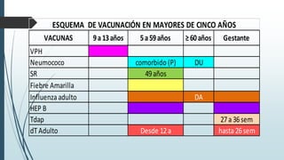 VACUNAS 9a13años ≥60años Gestante
VPH
Neumococo DU
SR
Fiebre Amarilla
Influenza adulto DA
HEP B
Tdap 27a 36sem
dTAdulto hasta 26sem
49años
comorbido (P)
Desde 12a
ESQUEMA DE VACUNACIÓN EN MAYORES DE CINCO AÑOS
5a59años
 