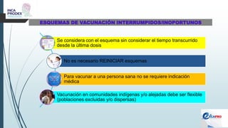 ESQUEMAS DE VACUNACIÓN INTERRUMPIDOS/INOPORTUNOS
Se considera con el esquema sin considerar el tiempo transcurrido
desde la última dosis
No es necesario REINICIAR esquemas
Para vacunar a una persona sana no se requiere indicación
médica
Vacunación en comunidades indígenas y/o alejadas debe ser flexible
(poblaciones excluidas y/o dispersas)
 