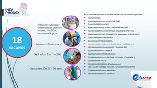 4.9 EL ESQUEMA NACIONAL DE VACUNACIÓN INCLUYE LAS SIGUIENTES VACUNAS:
 1) VACUNA BCG.
 2) VACUNA CONTRA LA HEPATITIS B (HvB)
 3) VACUNA PENTAVALENTE
 4) VACUNA TOXOIDE DIFTOTÉTANO PEDIÁTRICO (Dt)
 5) VACUNA CONTRA HAEMOPHILUS INFLUENZAE TIPO B (Hib)
 6) VACUNA CONTRA LA POLIOMIELITIS: Inyectable y Oral (IPV-bAPO)
 7) VACUNA CONTRA ROTAVIRUS
 8) VACUNA ANTINEUMOCÓCICA
 9) VACUNA CONTRA SARAMPIÓN, PAPERAS Y RUBÉOLA (SPR)
 10) VACUNA CONTRA SARAMPIÓN Y RUBEOLA (SR)
 11) VACUNA CONTRA VARICELA
 12) VACUNA ANTIAMARÍLICA (AMA)
 13) VACUNA CONTRA LA DIFTERIA, PERTUSIS Y TÉTANOS (DPT)
 14) VACUNA dT ADULTO
 15) VACUNA COMBINADA dTpa (gestantes)
 16) VACUNA CONTRA EL VIRUS DE PAPILOMA HUMANO (VPH)
 17) VACUNA CONTRA LA INFLUENZA
 18) VACUNA CONTRA LA COVID-19
Población vulnerable:
Enfermedades crónicas
renales, VIH/SIDA,
oncohematólogicos.
Adultos > 60 años a +
De 1 año - 2 a,11m,29d
Gestantes: De 27 – 36 sem.
18
VACUNAS
 