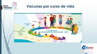 Vacunas por curso de vida
 