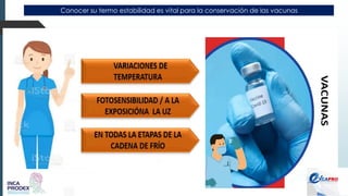 Conocer su termo estabilidad es vital para la conservación de las vacunas
 