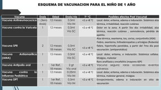 ESQUEMA DE VACUNACION PARA EL NIÑO DE 1 AÑO
Vacuna Dosis Edad Dosis/via T° °C Posibles efectos Post Vacunal
Vacuna Antineumococica 1 (3era
dosis)
12 meses 0.5ml
Vía IM
+2 a +8 °C Local: dolor, eritema, edema e induración. Sistémico alza
térmica, irritabilidad, reacción cutánea
Vacuna contra la Varicela 1 12 meses 0.5ml
Vía SC
+2 a +8 °C Dolor en la zona. A partir 5to día: irritabilidad, alza
térmica, reacción cutánea , somnolencia, pérdida de
apetito.
Vacuna SPR 2 12 meses
18 meses
0.5ml
Vía SC
+2 a +8 °C
Alza térmica, exantema, tos, coriza, conjuntivitis (ASA)
Fiebre, exantema, linfoadenopatias y artralgias (Rubeola)
fiebre, hipertrofia parotídea, a partir del 7mo día post
vacunación. (antiparotidico)
Vacuna Antiamarílica
(AMA)
1 15 meses 0.5ml
Vía SC
+2 a +8 °C Local: dolor, eritema, e induración. Sistémico cefalea.
Mialgias, malestar
Raro anafilaxia y encefalitis (mayores 60ª)
Vacuna Antipolio oral 1 1er Ref.
18 meses
2 gt
Vía oral
+2 a +8 °C Vacuna segura; raras ocasiones eventos
adversos
Vacuna contra la
Influenza Pediátrica
1 12 meses 0.25ml
Vía IM
+2 a +8 °C Local: dolor, eritema, edema e induración. Sistémico alza
térmica, malestar general, mialgias
Vacuna DPT 1 1er Ref.
18 meses
0.5ml
Vía IM
+2 a +8 °C Enrojecimiento, edema e induración en sitio de
vacunación
 
