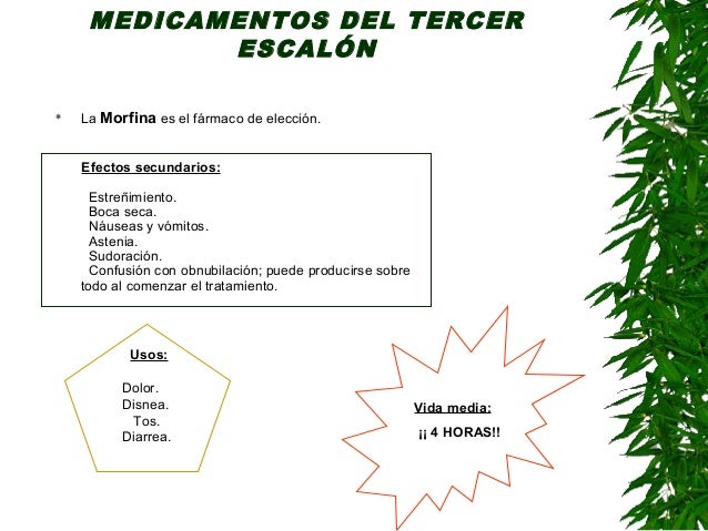 Enfermeria en los cuidados paliativos Enfermeria en los cuidados paliativos