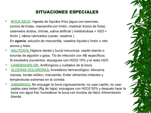 Enfermeria en los cuidados paliativos Enfermeria en los cuidados paliativos