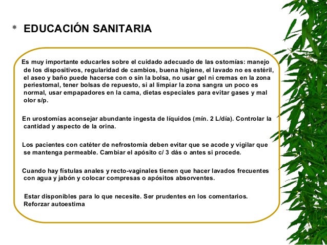Enfermeria en los cuidados paliativos Enfermeria en los cuidados paliativos