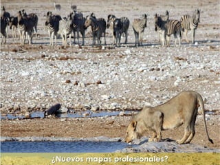 "La enfermería y sus metáforas" (22-04-2015)