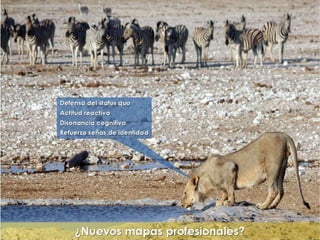 "La enfermería y sus metáforas" (22-04-2015)