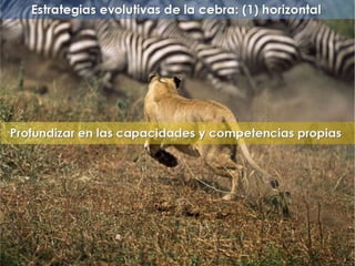 "La enfermería y sus metáforas" (22-04-2015)