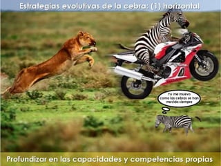 "La enfermería y sus metáforas" (22-04-2015)