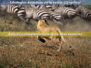 "La enfermería y sus metáforas" (22-04-2015)