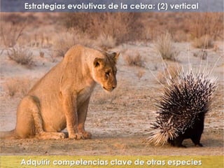 "La enfermería y sus metáforas" (22-04-2015)