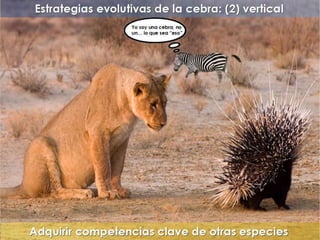 "La enfermería y sus metáforas" (22-04-2015)