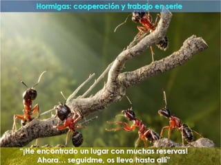 "La enfermería y sus metáforas" (22-04-2015)