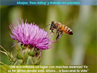 "La enfermería y sus metáforas" (22-04-2015)