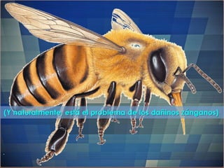 "La enfermería y sus metáforas" (22-04-2015)