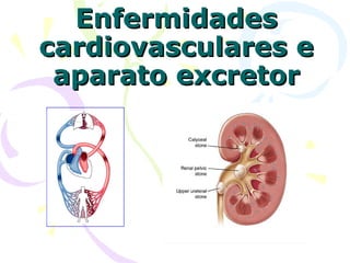 EnfermidadesEnfermidades
cardiovasculares ecardiovasculares e
aparato excretoraparato excretor
 
