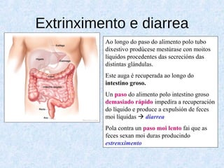 Extrinximento e diarrea
Ao longo do paso do alimento polo tubo
dixestivo prodúcese mestúrase con moitos
líquidos procedentes das secrecións das
distintas glándulas.
Este auga é recuperada ao longo do
intestino groso.
Un paso do alimento polo intestino groso
demasiado rápido impedira a recuperación
do líquido e produce a expulsión de feces
moi líquidas  diarrea
Pola contra un paso moi lento fai que as
feces sexan moi duras producindo
estrenximento
 