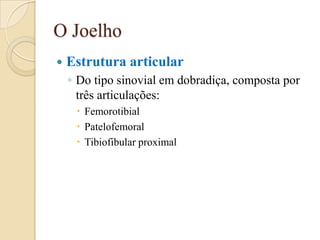 O Joelho
   Estrutura articular
    ◦ Do tipo sinovial em dobradiça, composta por
      três articulações:
      Femorotibial
      Patelofemoral
      Tibiofibular proximal
 