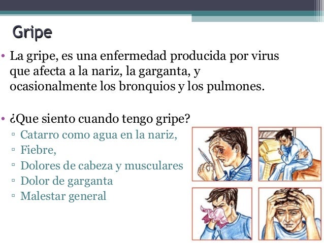 Quiero adelgazar a la Navidad