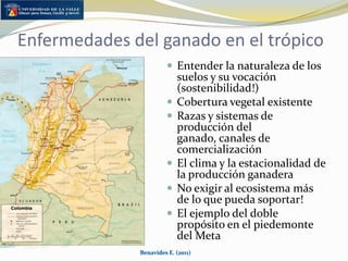 Colombia en el TrópicoSin lugar a dudas ….Pero también afortunadamente,Colombia es un país enteramente localizado en el trópico … Existiendo según la altitud regiones de trópico alto, trópico medio y trópico bajo.Benavides E. (2011)