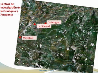 Enfermedades del ganado en el trópico Entender la naturaleza de los suelos y su vocación (sostenibilidad!)Cobertura vegetal existenteRazas y sistemas de producción del ganado, canales de comercializaciónEl clima y la estacionalidad de la producción ganaderaNo exigir al ecosistema más de lo que pueda soportar!El ejemplo del doble propósito en el piedemonte del MetaBenavides E. (2011)