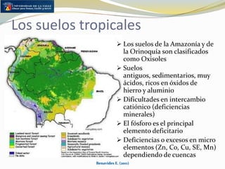 Centros de Investigación en  la Orinoquía y AmazoníaBenavides E. (2011)CarimaguaLa LibertadMacagual