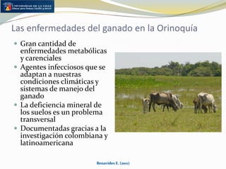 Deficiencias o excesos en micro elementos (Zn, Co, Cu, SE, Mn) dependiendo de cuencasBenavides E. (2011)