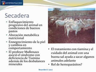 Suplemento ganadero de Carta Ganadera (1986)Morales, Aycardi, Guzmán y UribeBenavides E. (2011)
