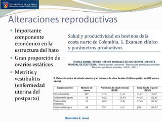 Causas de mortalidad, AltillanuraGanadería extensiva tradicionalReporte de Aycardi y cols.Principales “causas”EnterramientoDesnutrición y caquexiaFracturas óseas espontáneasMarcada estacionalidadBenavides E. (2011)