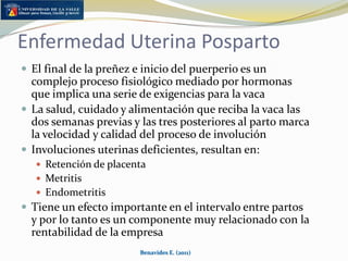 Enterramiento y debilidadEnterramiento (Morales et al., 1986) Borrachera (Def. cobre)Mc Dowellet al. , 1984)Benavides E. (2011)