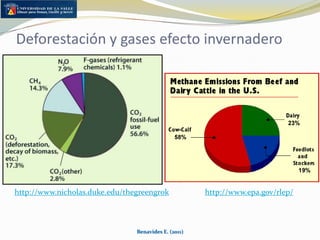 Contribución al efecto invernadero por producción de metano y N2O  (Captura de carbono?)