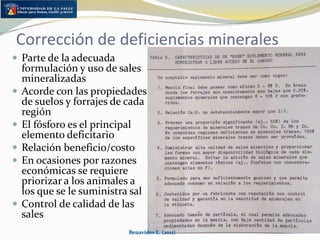 Rol de hemoparásitos?HidroalantoidesAcumulación excesiva de fluidos dentro del útero en la vaca gestanteDepósitos calcáreos en los placentomasDebilidad y muerte del terneroCausado por los desbalances de fósforo y calcioLa sal mineralizada corrige el problemaBenavides E. (2011)Morales et al., (1986)