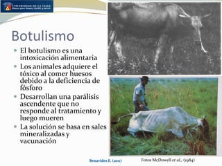 Enfermedad Uterina PospartoEl final de la preñez e inicio del puerperio es un complejo proceso fisiológico mediado por hormonas que implica una serie de exigencias para la vacaLa salud, cuidado y alimentación que reciba la vaca las dos semanas previas y las tres posteriores al parto marca la velocidad y calidad del proceso de involuciónInvoluciones uterinas deficientes, resultan en:Retención de placentaMetritisEndometritis Tiene un efecto importante en el intervalo entre partos y por lo tanto es un componente muy relacionado con la rentabilidad de la empresaBenavides E. (2011)